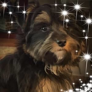 Meet your Posher, Barbara